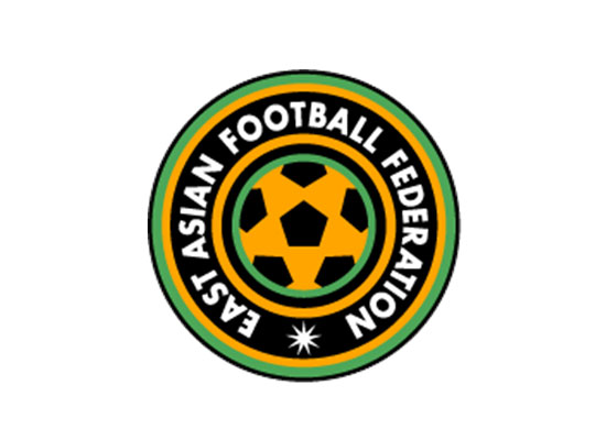 サッカー　東アジアカップ 2013 日本代表 vs オーストラリア代表